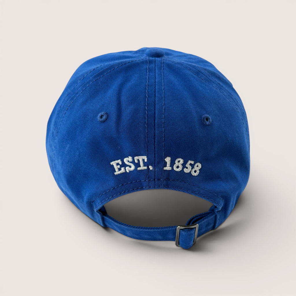 MN Flannel Dad Hat